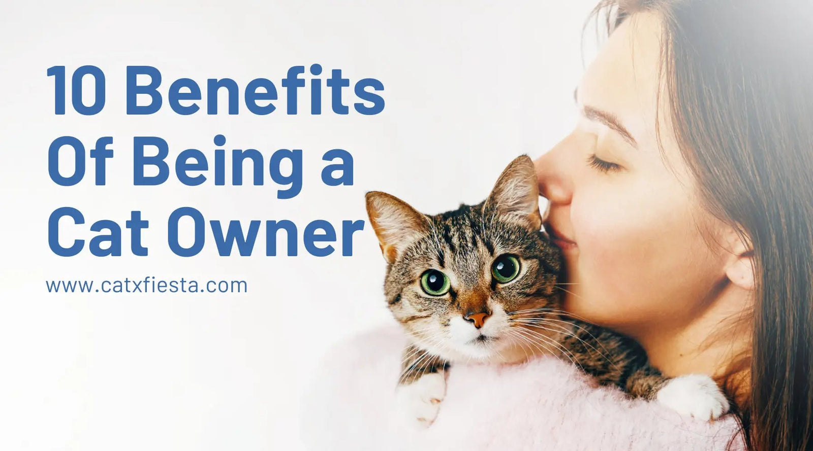 10 Benefits of Having A Cat - CatX Fiesta