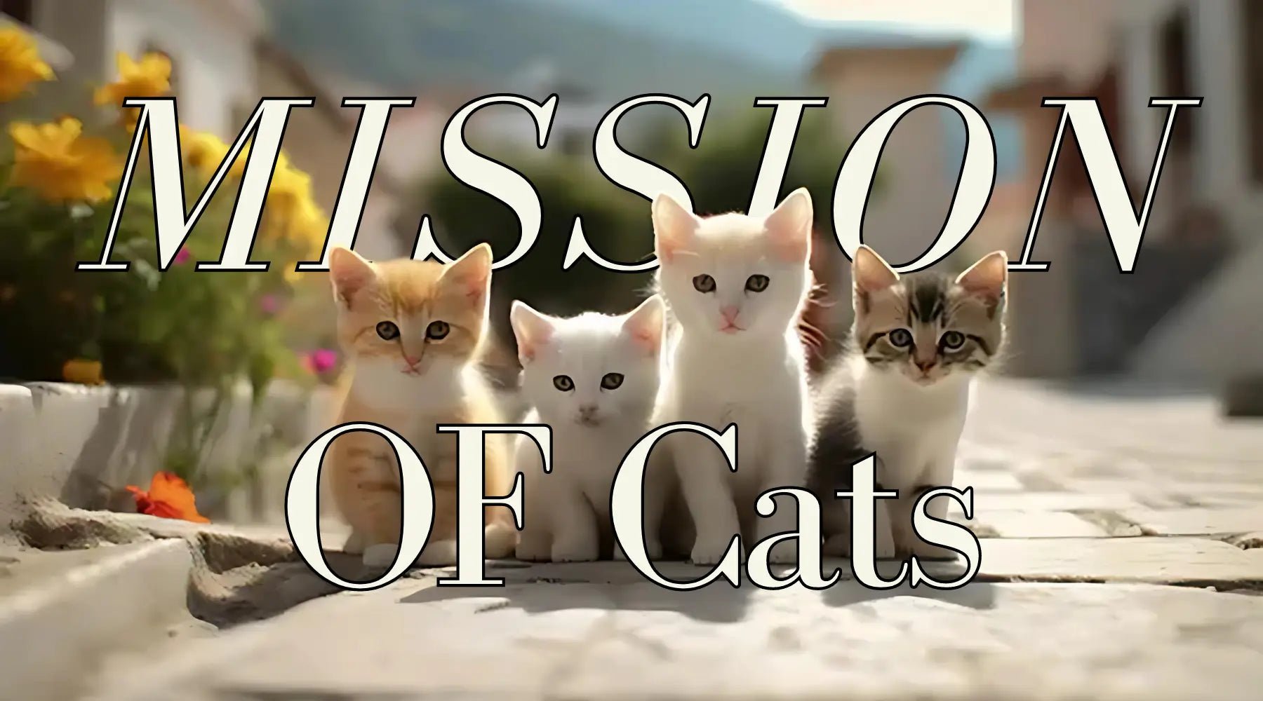The Mission of Cats: Guardians of Energy and Comfort - CatX Fiesta