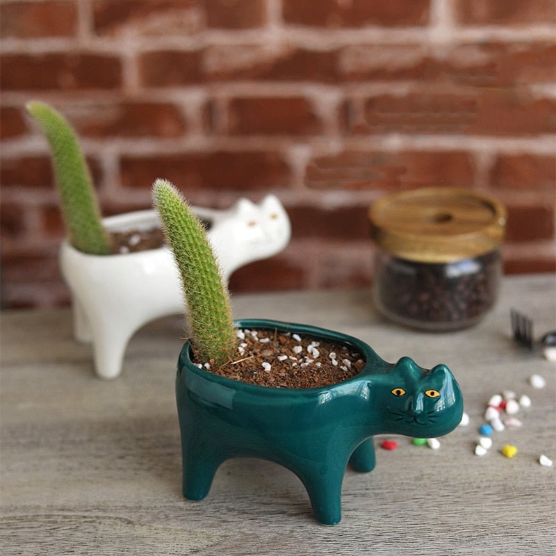 Cute Cat Garden Flower Pot - CatX Fiesta