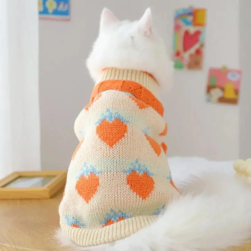Kitten Sweater - CatX Fiesta