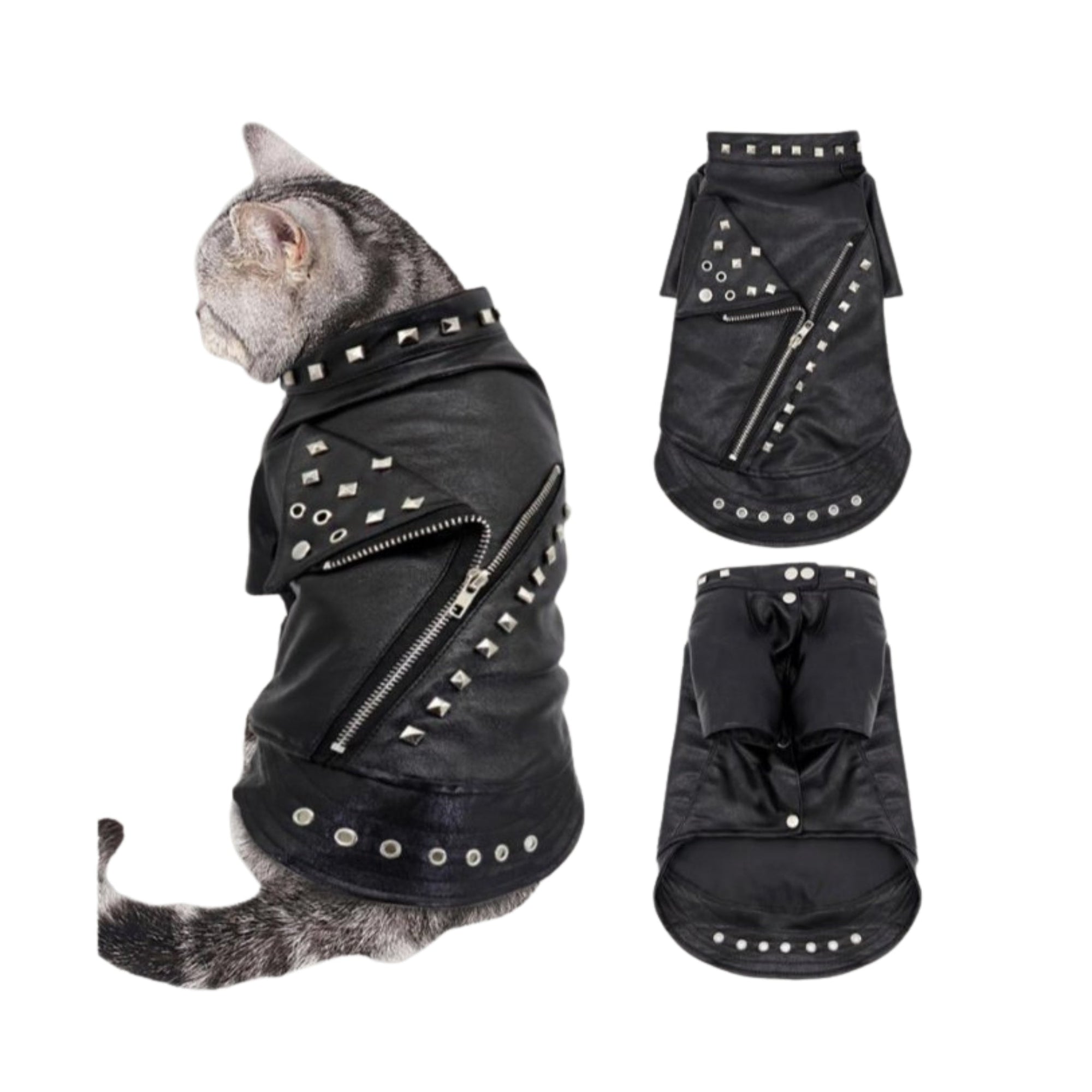 Leather Cat Jacket - CatX Fiesta
